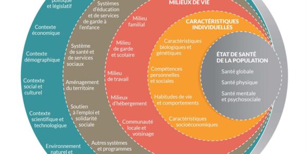 L’action locale en santé publique : impossible sans les municipalités!