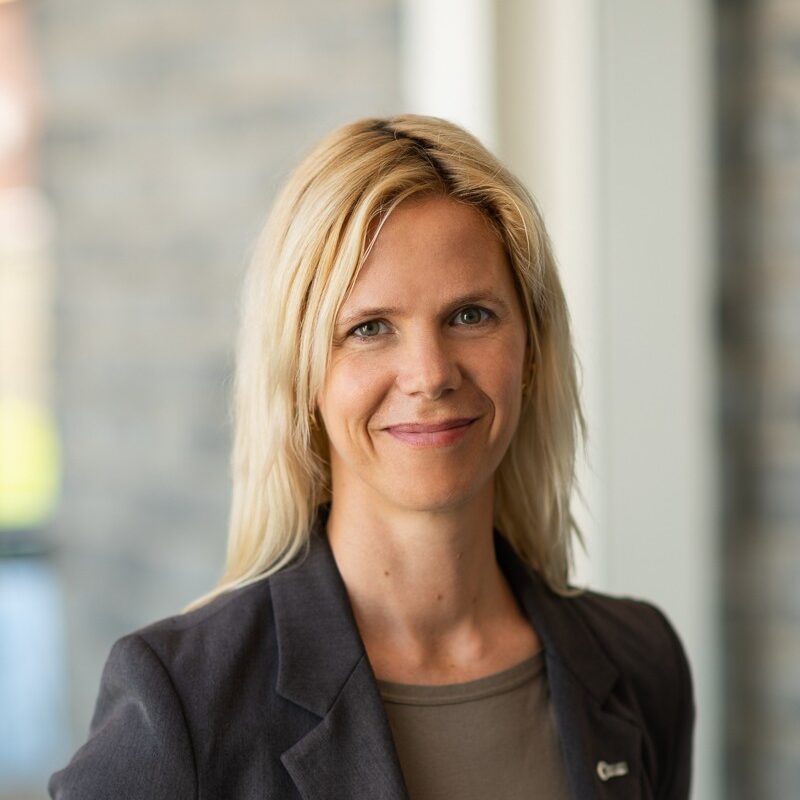 Béatrice Alain, Directrice générale du Chantier de l'économie sociale